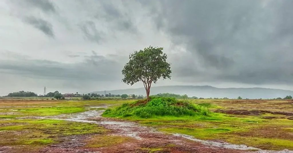 മാടായിപ്പാറ സംരക്ഷണം അനിവാര്യം; റാലി ആഗസ്റ്റ് 22-ന്